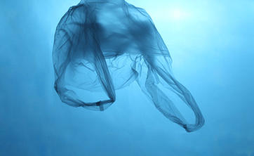 Acțiuni cheie pentru combaterea poluării cu plastic